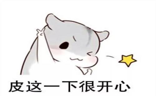 “皮一下，很开心”是什么意思？