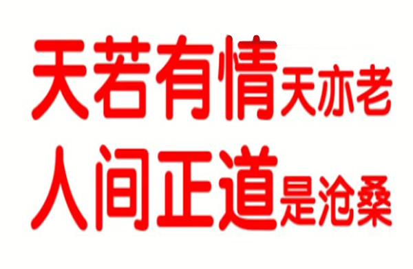 “天若有情天亦老，人间正道是沧桑”是什么意思？