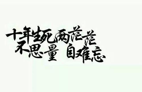 “十年生死两茫茫，不思量自难忘”是什么意思？