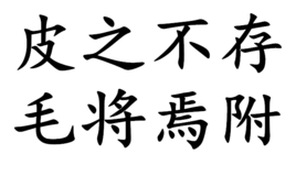 “皮之不存，毛将焉附”是什么意思？