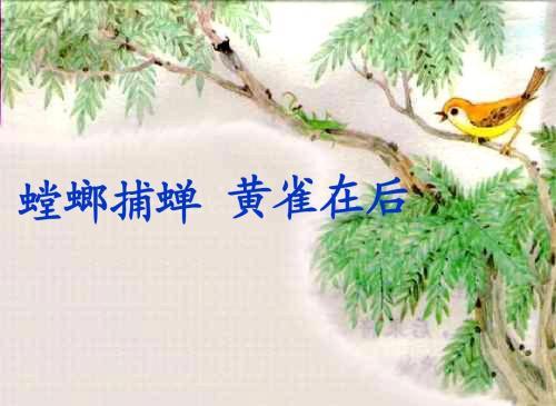 “螳螂捕蝉，黄雀在后”是什么意思？
