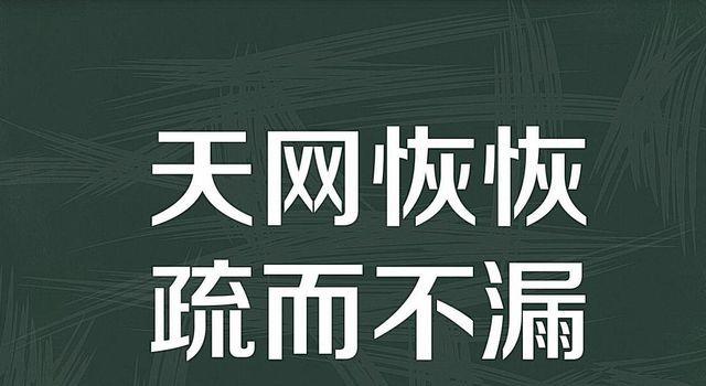 “天网恢恢，疏而不漏”是什么意思？