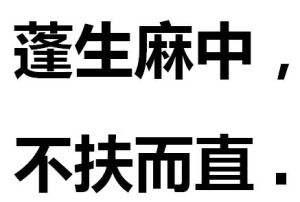 “蓬生麻中，不扶自直”是什么意思？