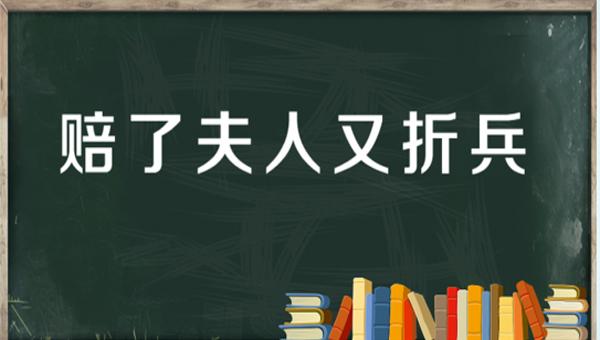 “周郎妙计安天下，赔了夫人又折兵”是什么意思？