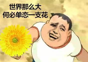 “人生何处无芳草，何必单恋一枝花”是什么意思？