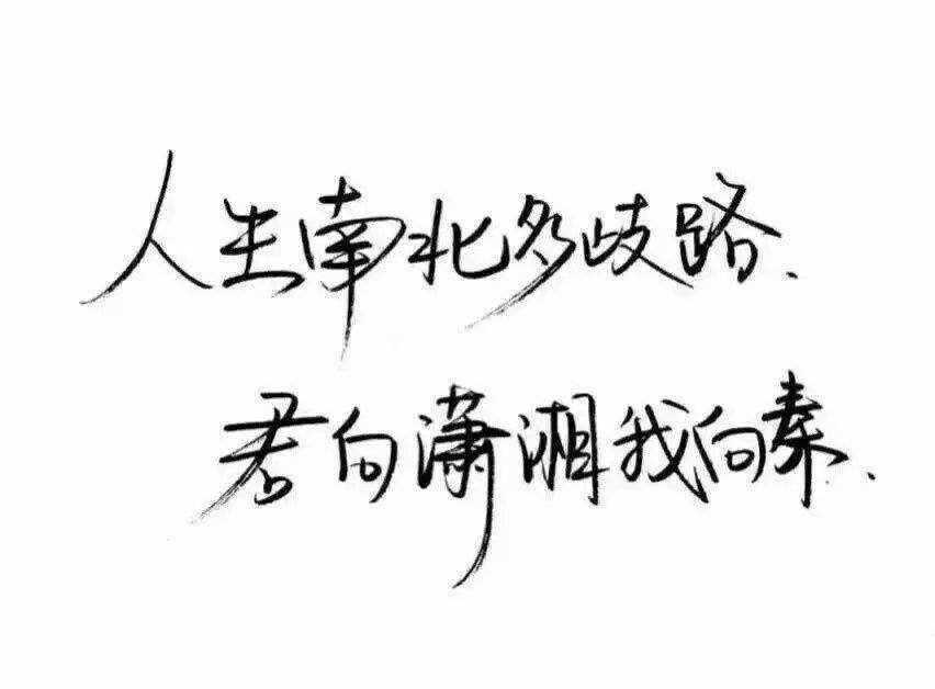 “人生南北多歧路，君向潇湘我向秦”是什么意思？