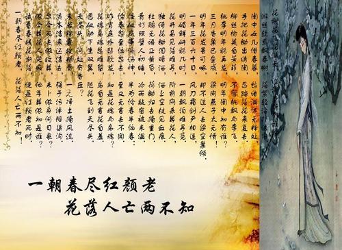 “一朝春尽红颜老，花落人亡两不知”是什么意思？