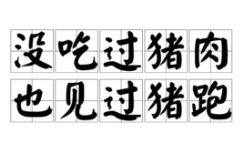 “没吃过猪肉，也见过猪跑”是什么意思？