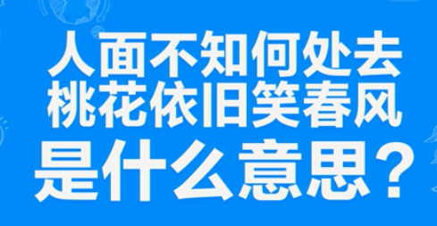 “人面不知何处去，桃花依旧笑春风”是什么意思？