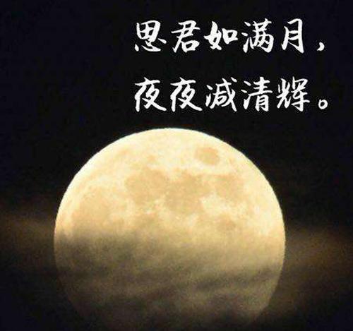 “思君如满月，夜夜减清辉”是什么意思？