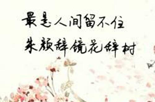 “最是人间留不住，朱颜辞境花辞树”是什么意思？