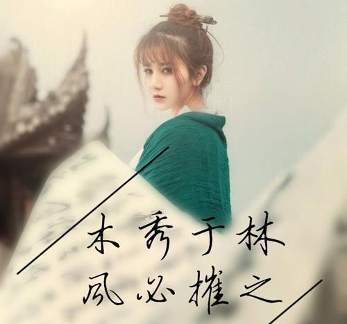 “木秀于林，风必摧之”是什么意思？
