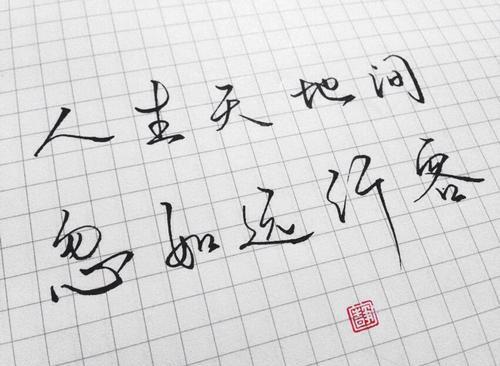 “人生天地间，忽如远行客”是什么意思？