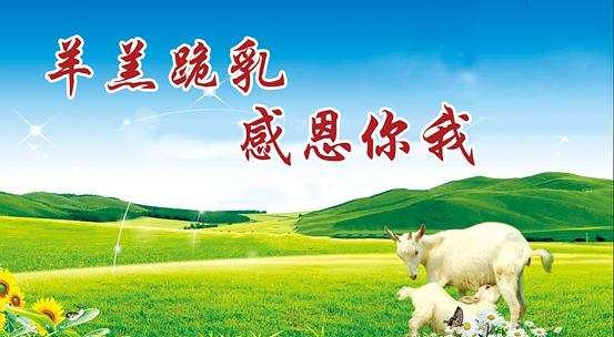 “羊有跪乳之恩，鸦有反哺之义”是什么意思？