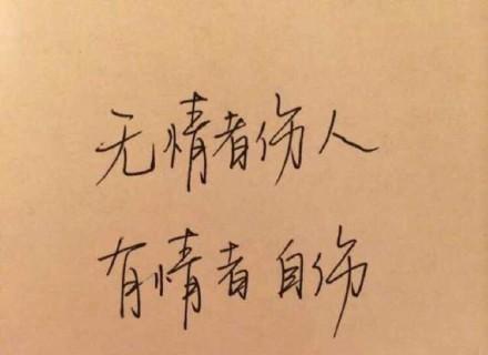 “无情者伤人，有情者自伤”是什么意思？