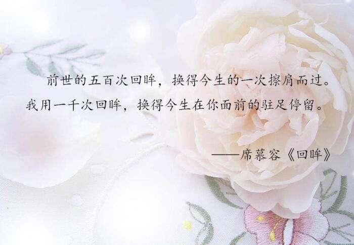 “前世的五百次回眸,换得今生的一次擦肩而过”什么意思？