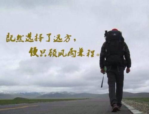 “既然选择了远方，便只顾风雨兼程”是什么意思？