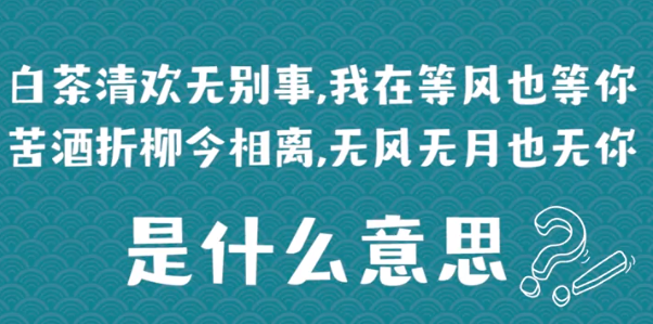 “白茶清欢无别事，我在等风也等你”是什么意思？