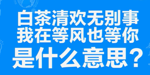 “白茶清欢无别事，我在等风也等你”是什么意思？