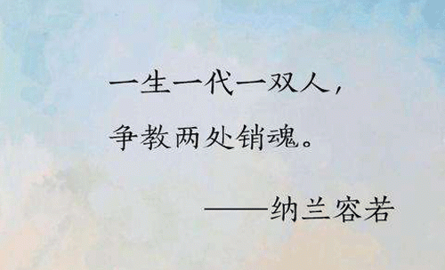 “一生一代一双人，争教两处销魂”是什么意思？