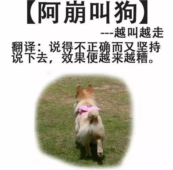 “阿崩叫狗,越叫越走”是什么意思?