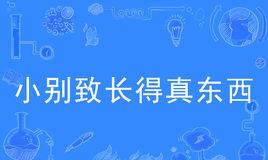 “小别致长得真东西”是什么意思？