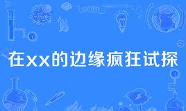 “在xx的边缘疯狂试探”是什么意思？