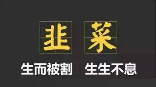 “割韭菜”是什么意思？