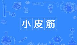 “小皮筋”是什么意思？