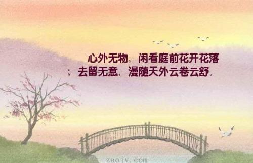 “宠辱不惊,看庭前花开花落；去留无意,望天上云卷云舒”什么意思？