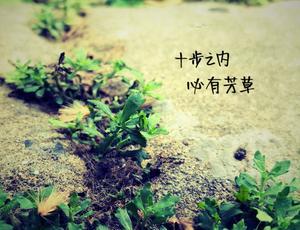 “十步之内，必有芳草”是什么意思?