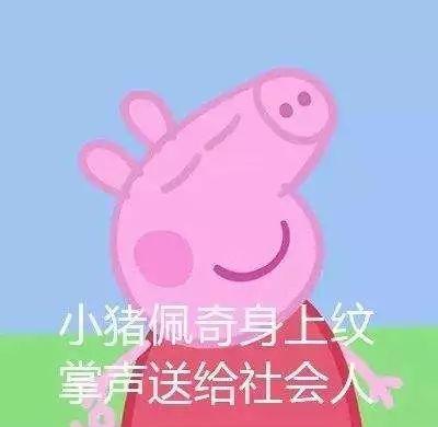 “小猪佩奇身上纹”是什么意思？