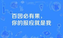 “百因必有果，你的报应就是我”是什么意思？