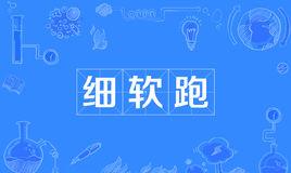 网络上的“细软跑”是什么意思？