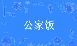 “吃公家饭”和“铁饭碗”是什么意思？