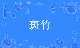 网络上的“斑竹”是什么意思？