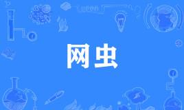 “网虫”和“网卵”是什么意思？