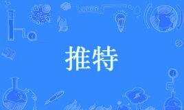 “脸书”和“推特”是什么意思？