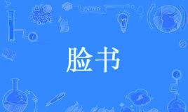 “脸书”和“推特”是什么意思？