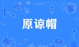 网络上的“原谅帽”是什么意思？