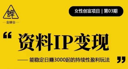 资料IP变现，能稳定日赚3000起的持续性盈利玩法