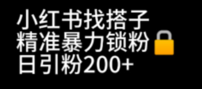 小红书找搭子暴力精准锁粉+引流日引200+精准粉