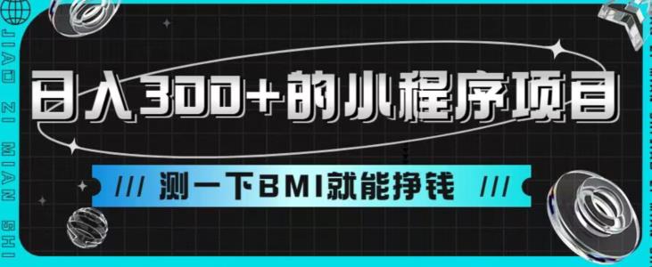 日入300+的小程序项目，测一下Bmi就能挣钱【揭秘】