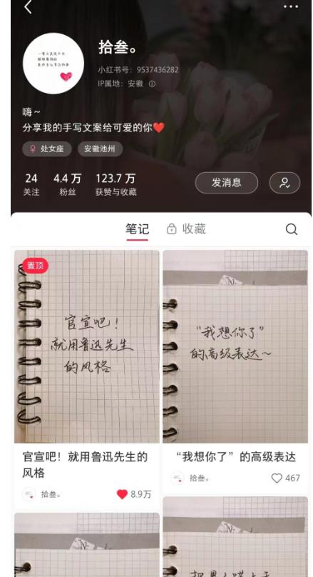 Ai批量制造小红书爆款笔记+小红书无货源，玩法一条龙实操，小白也能轻松日入500+【揭秘】