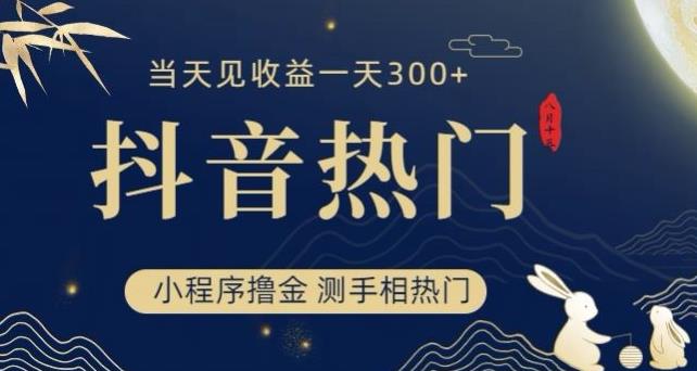 抖音最新小程序撸金，测手相上热门，当天见收益一小时变现300+【揭秘】