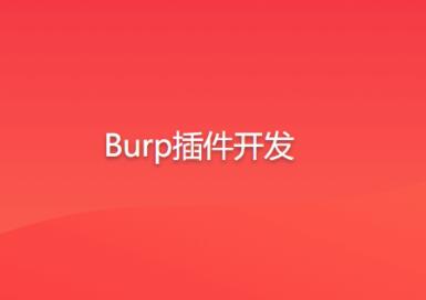 Burp插件开发