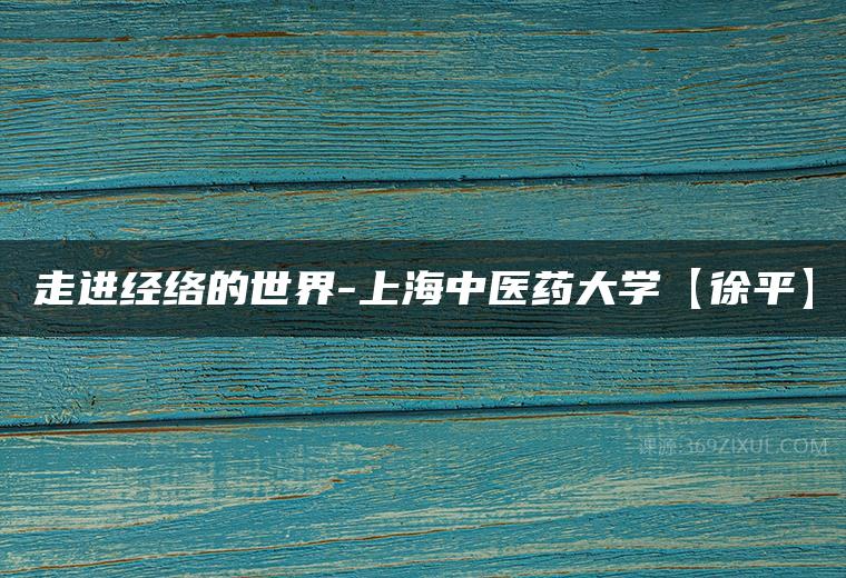 走进经络的世界-上海中医药大学【徐平】百度网盘下载