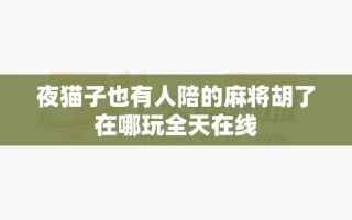 夜猫子也有人陪的麻将胡了在哪玩全天在线